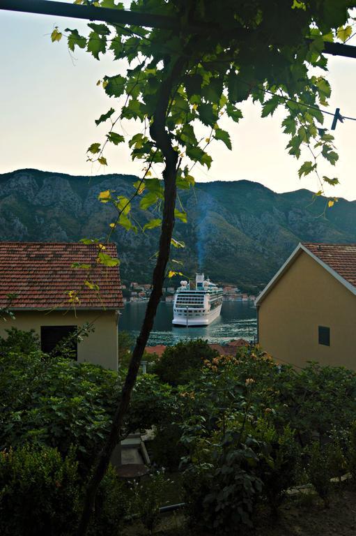 Apartments Bucin Kotor Exterior foto